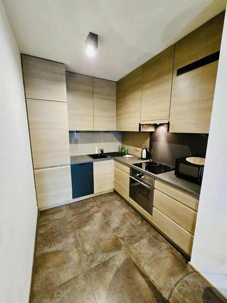 Apartament Z Widokiem Na Wawel W Centrum Miasta Краков